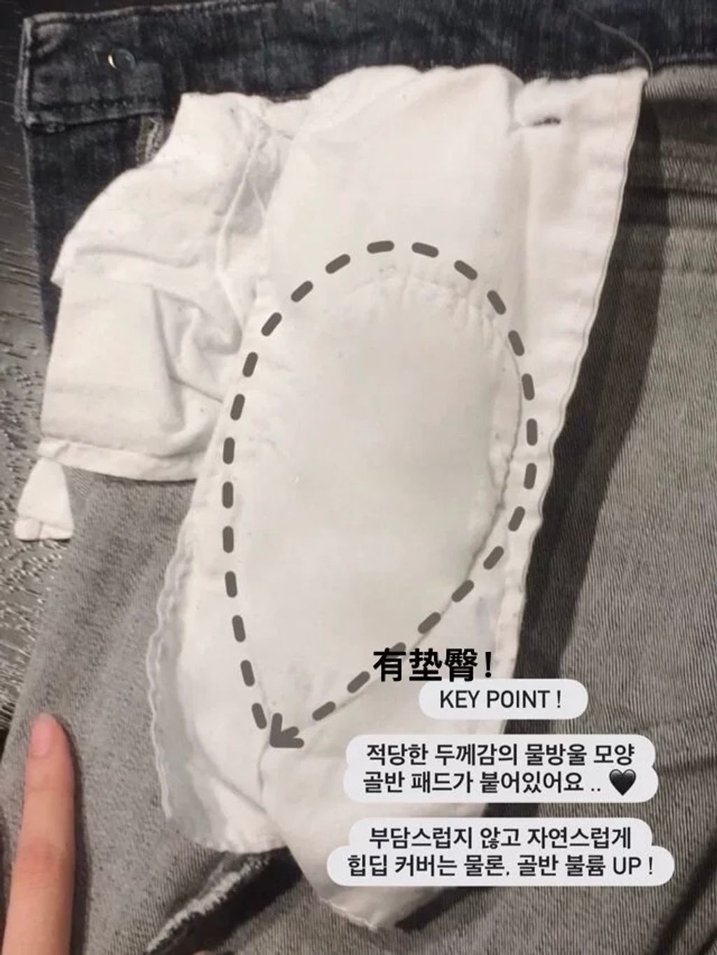 image_C8601464-363D-4C12-9724-4E6BEE1B3A98_1773504469