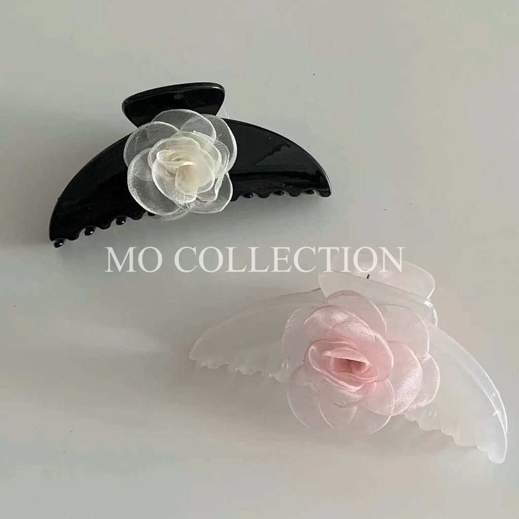 IMG_2061-1721130031142