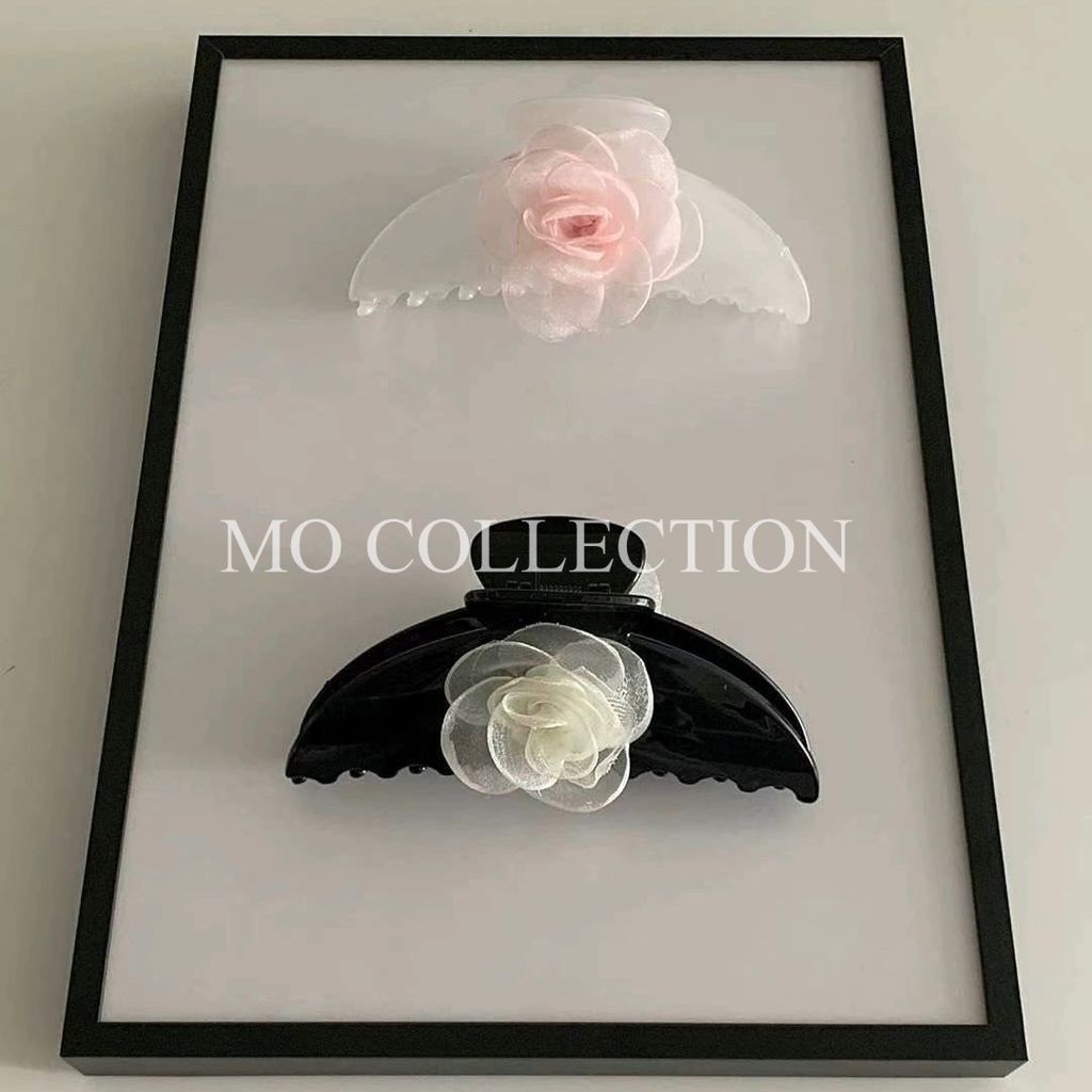 IMG_2060-1721130031146