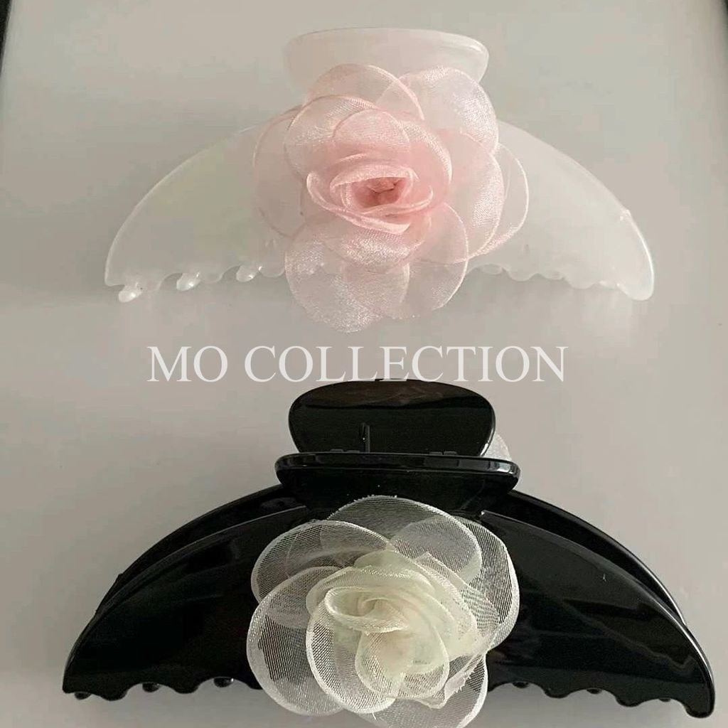 IMG_2062-1721130031153