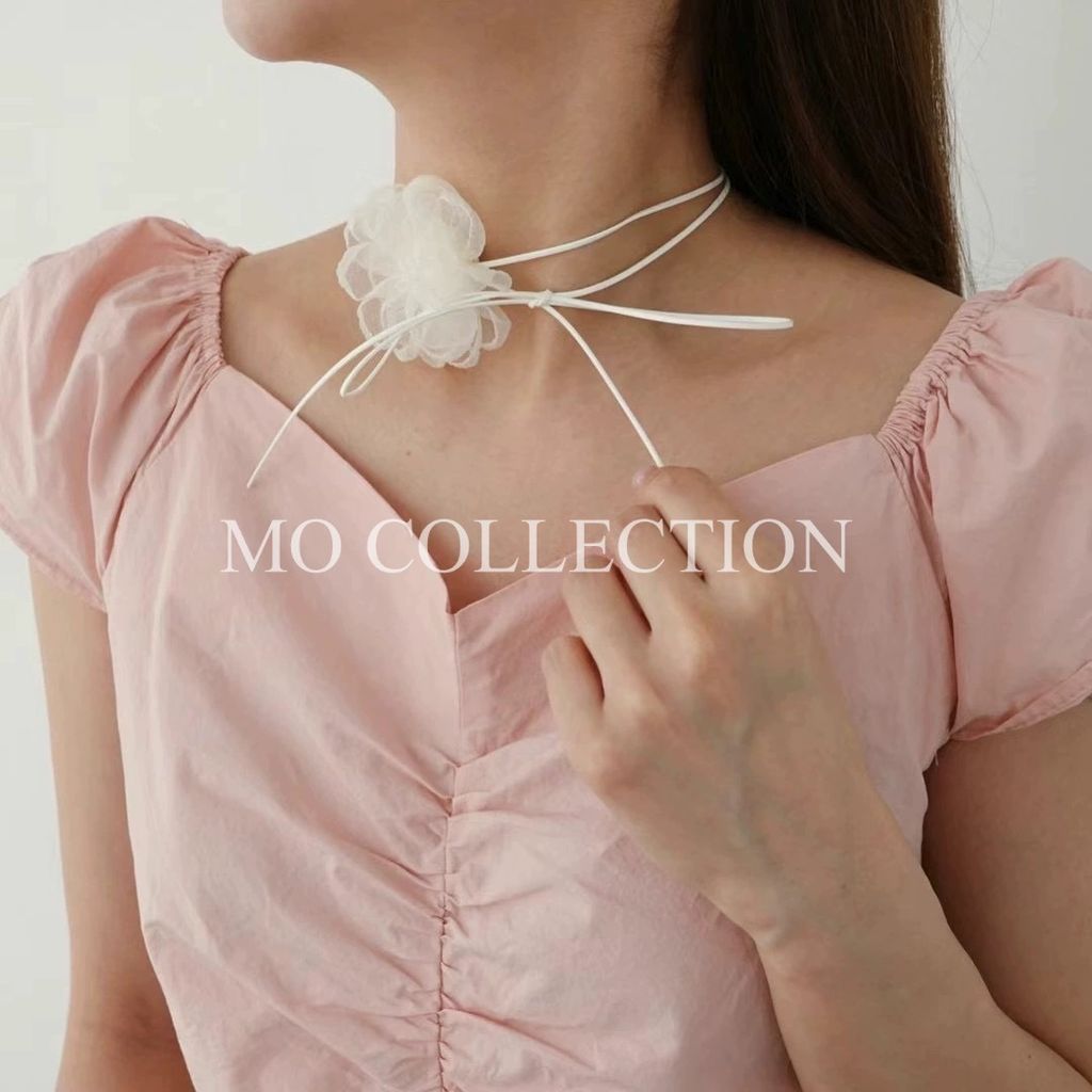 IMG_2079-1721137020761