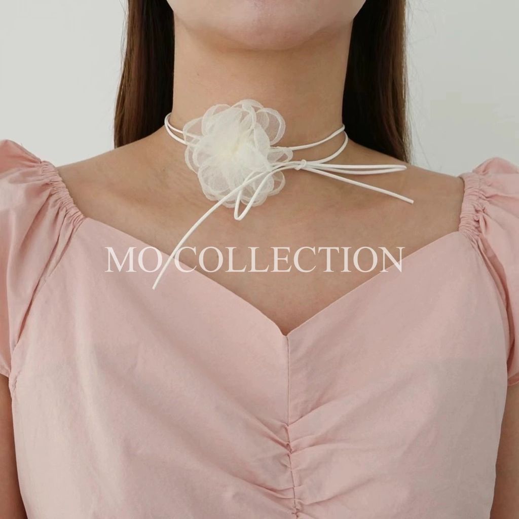 IMG_2080-1721137020758