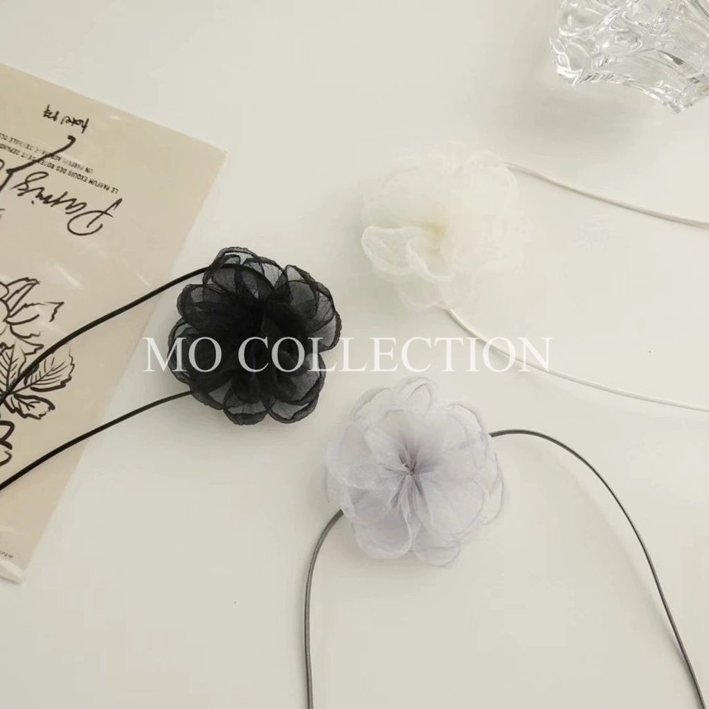 IMG_2078-1721137020759