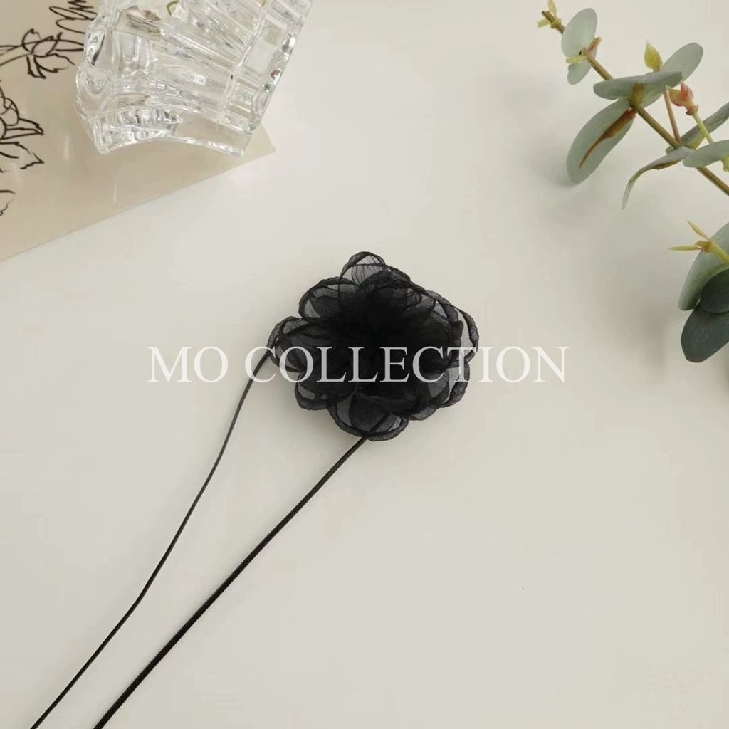 IMG_2083-1721137020764