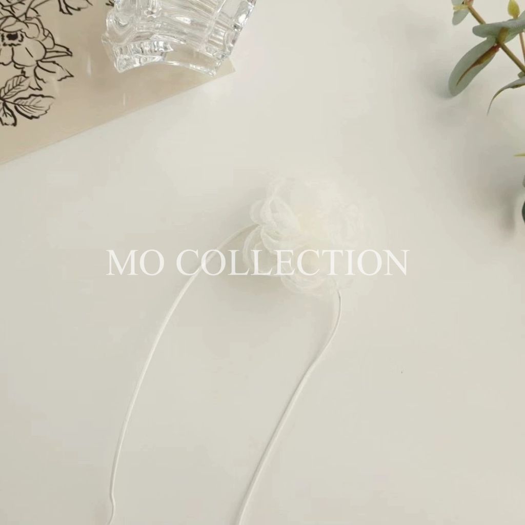 IMG_2082-1721137020767