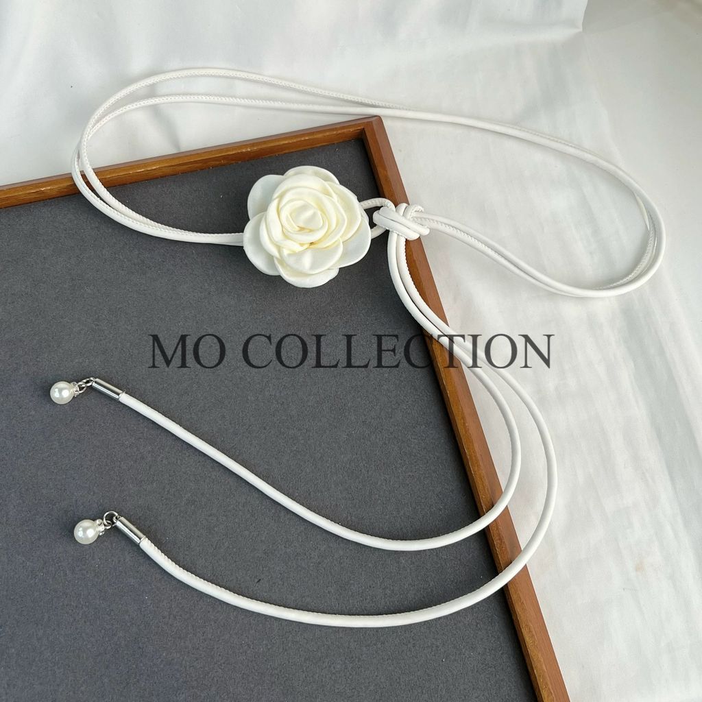 IMG_0739-1727545027658