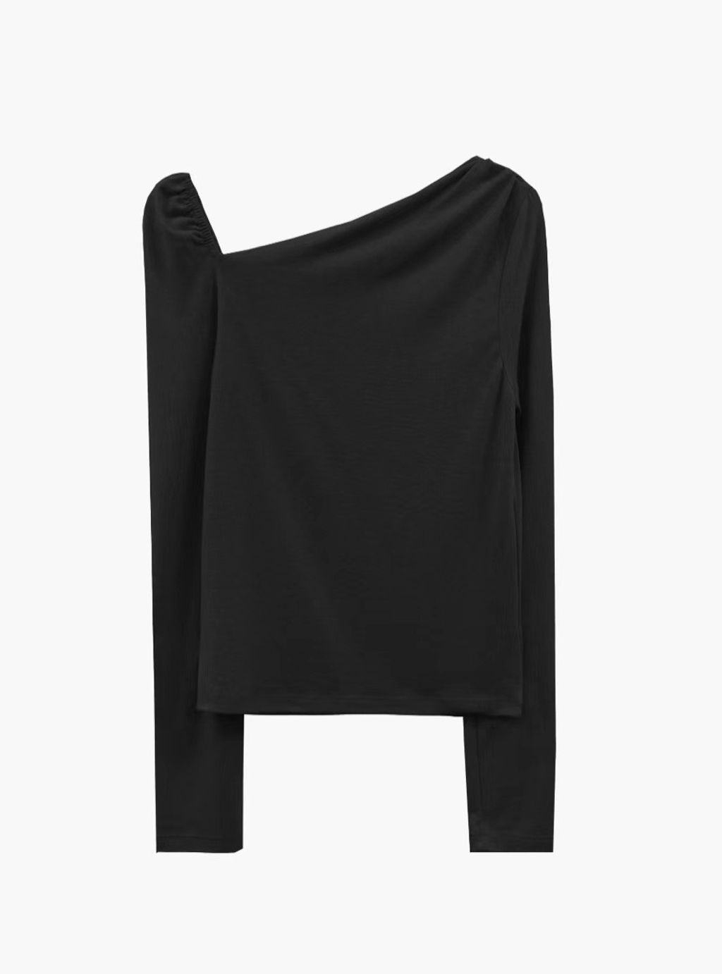 IMG_1368-1727968328481