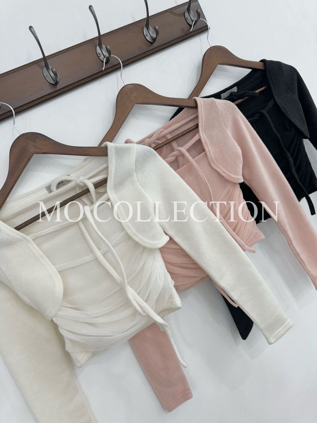 IMG_5593-1731419314608