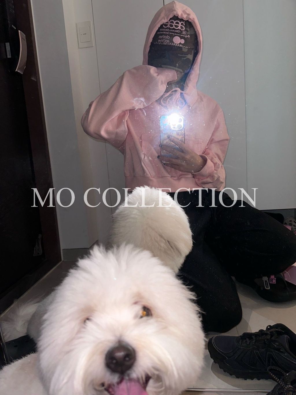 IMG_6349-1731580759178