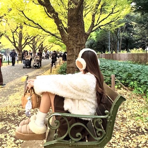 image_88740BF7-D900-403B-84AD-B7FB3E8B5AF4_1766516082