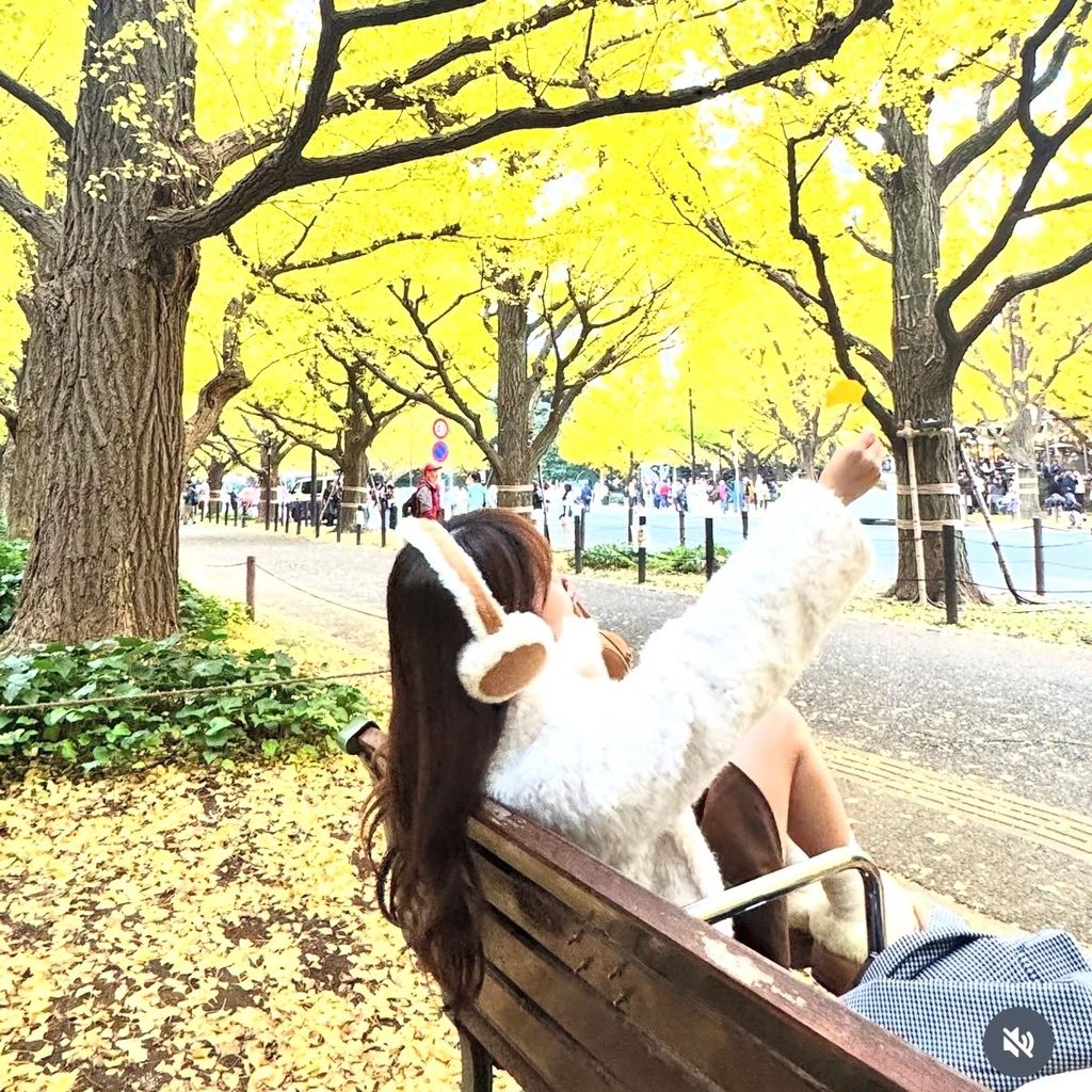 image_EE3C53FE-04C1-4871-A48B-14454B5AA5F6_1766516082