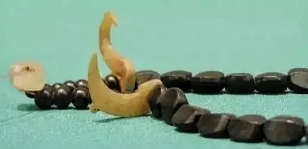 煤精龜背珠