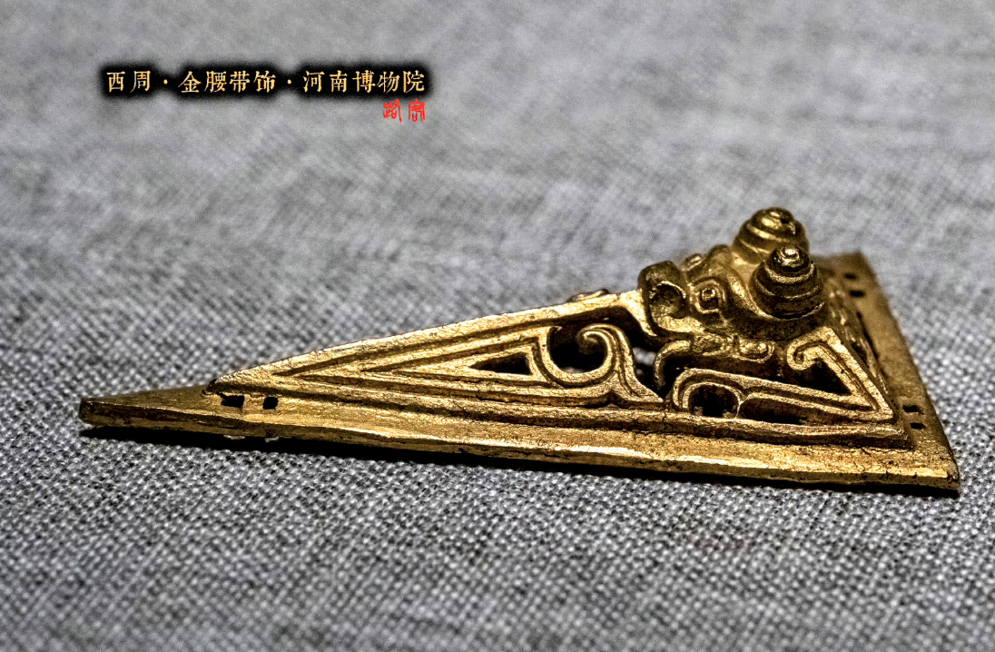 金腰帶飾龍形側視