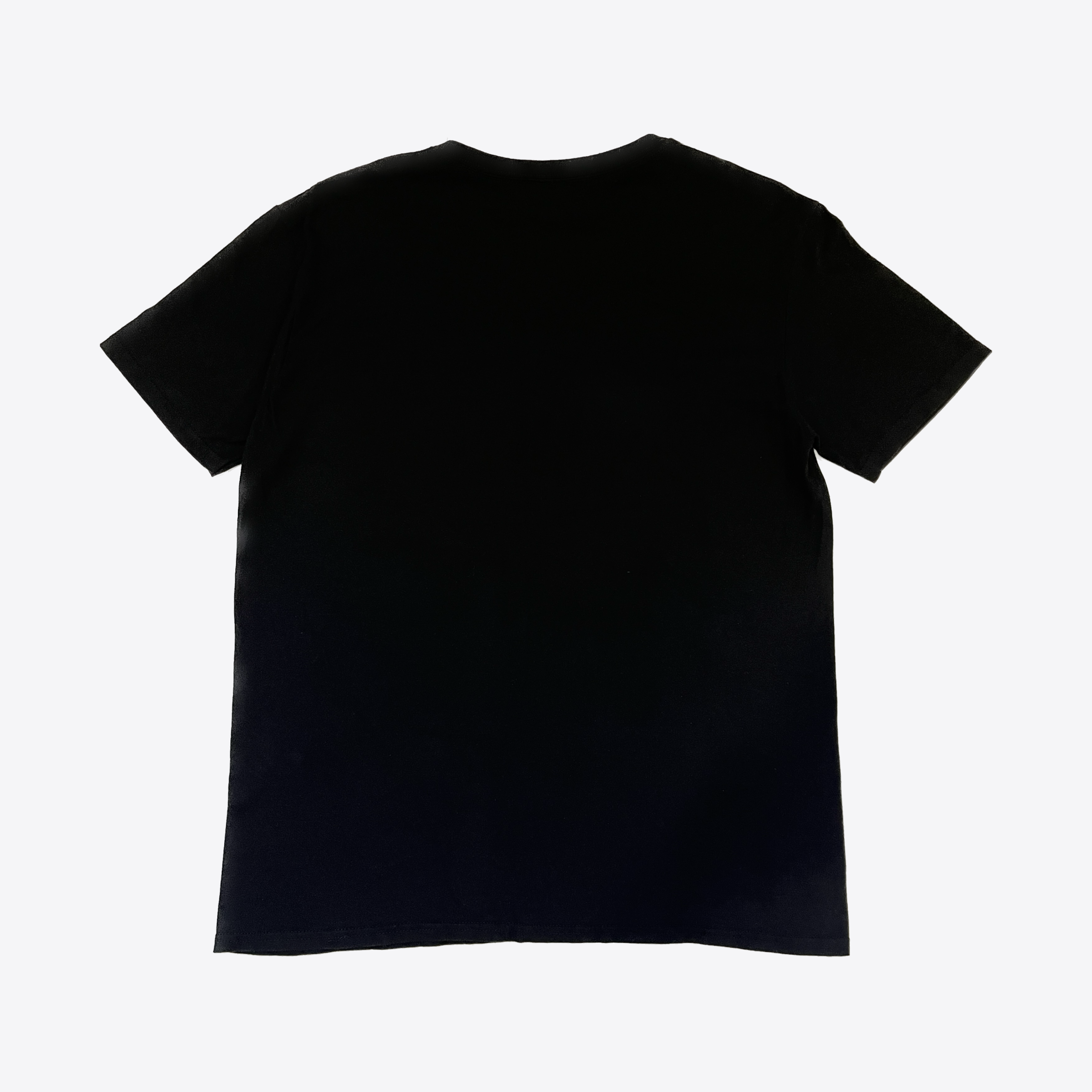 STREET FIGHTER TEE (1)