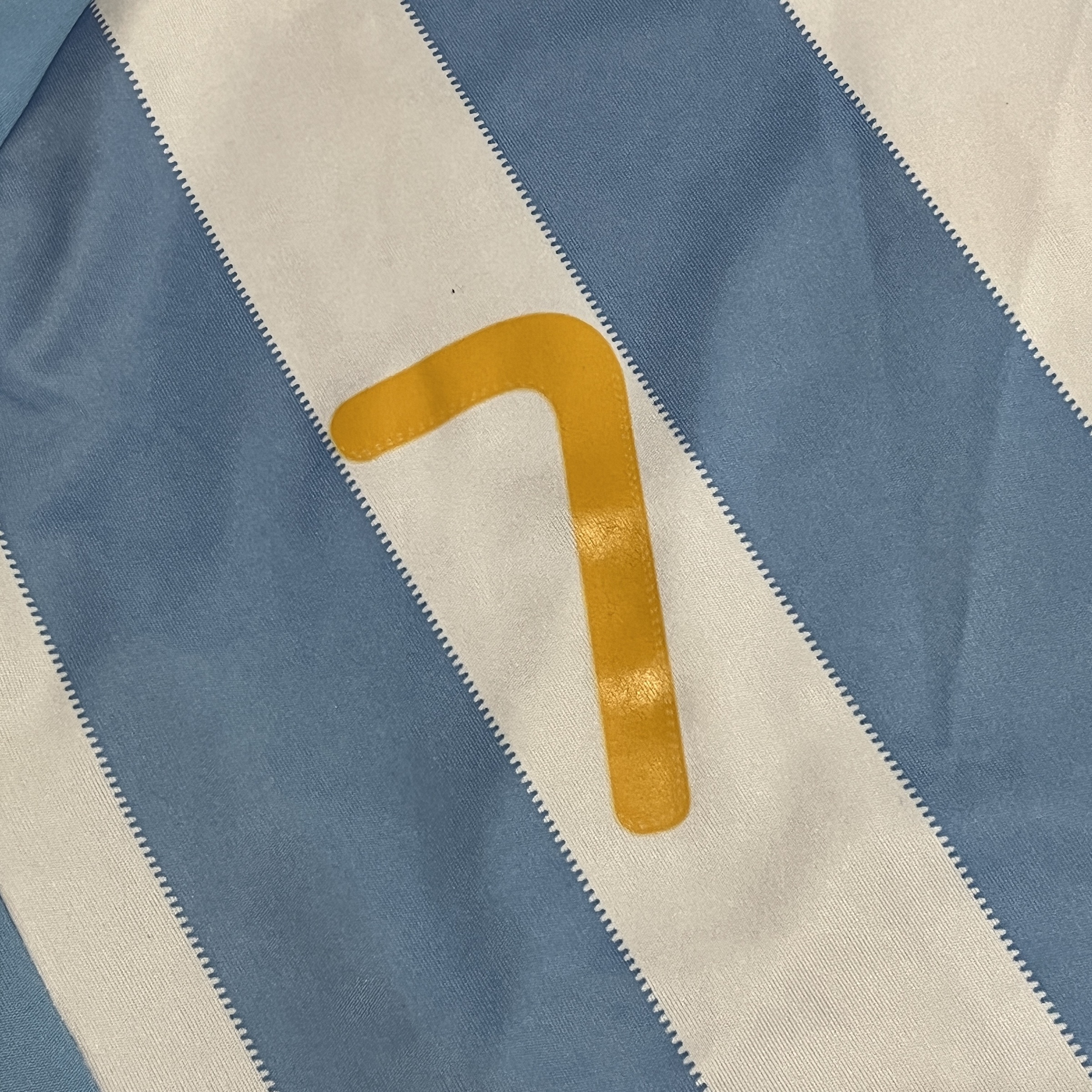 ADIDAS 2010 FIFA AGRENTINA JERSEY (1)