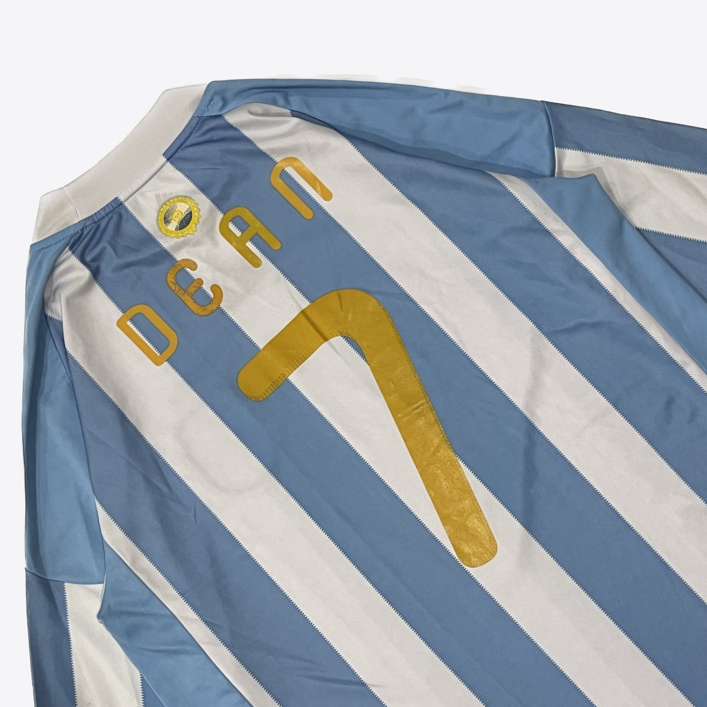 ADIDAS 2010 FIFA AGRENTINA JERSEY (1)