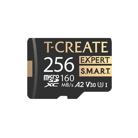 TTCS256GIA2V3003-1