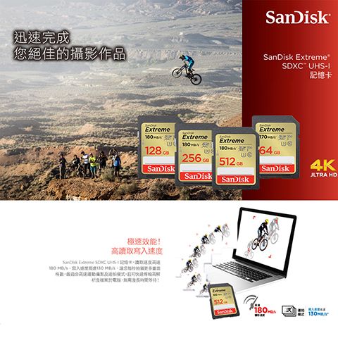 SDSDXVV-256G-GNCIN-2
