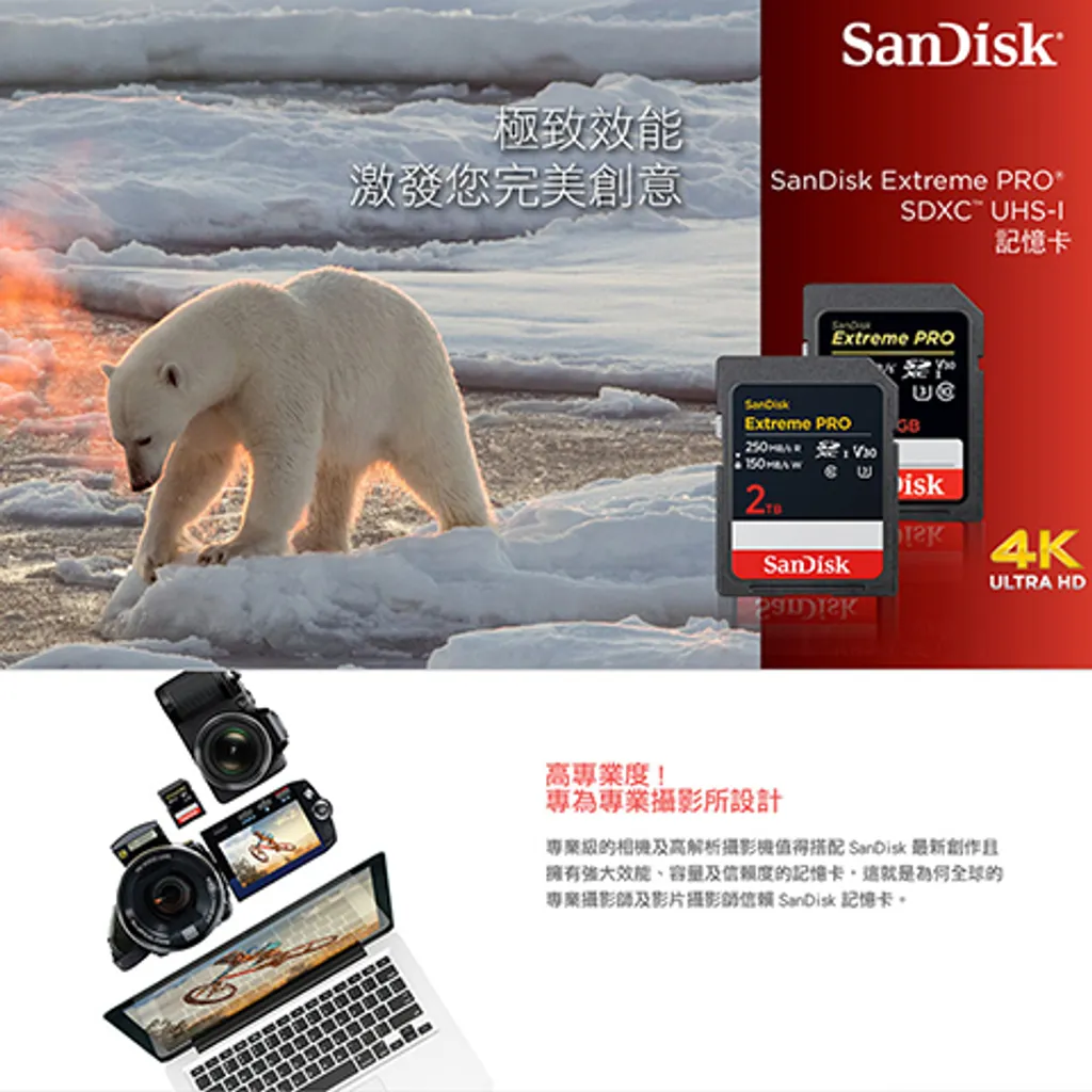 SDSDXXD-512G-GN4IN-2