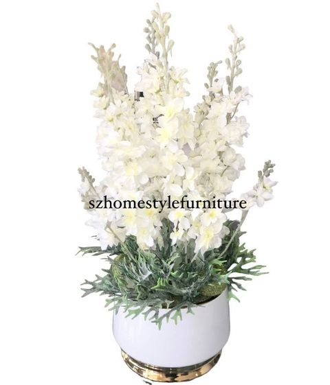 White Delphinium 