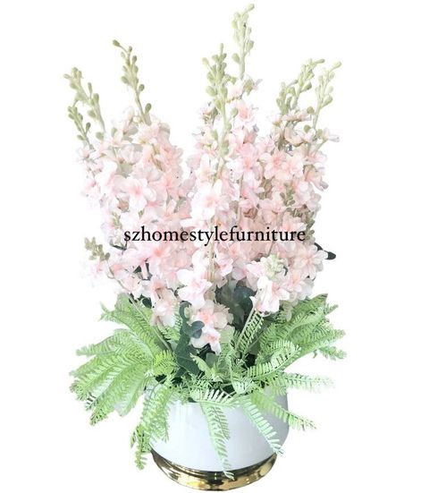 Pink Delphinium