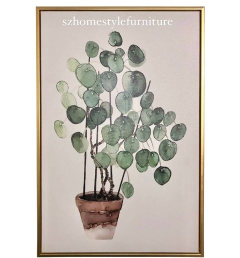 Pilea Plant 