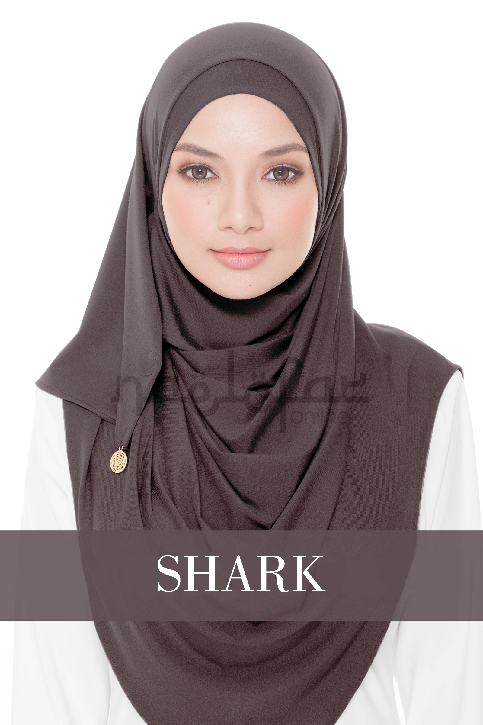 Shark-1.jpg
