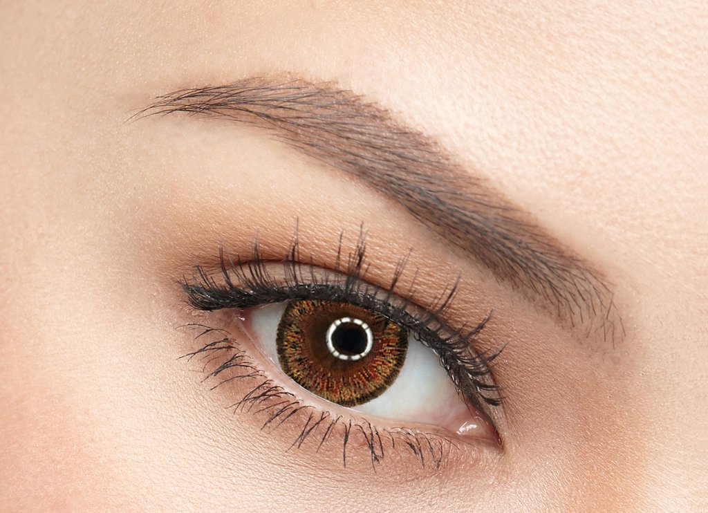 web_cat_eyes_brown_1024x1024.jpg