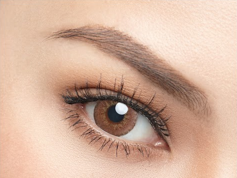 Nutty_Brown_1024x1024.png