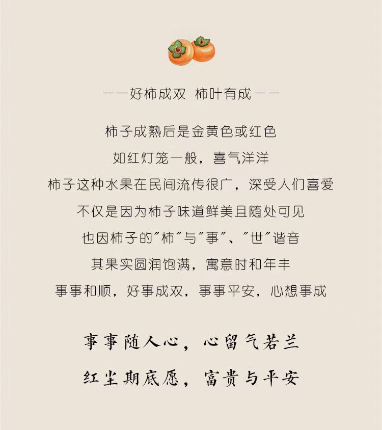 圖片_20240614133558