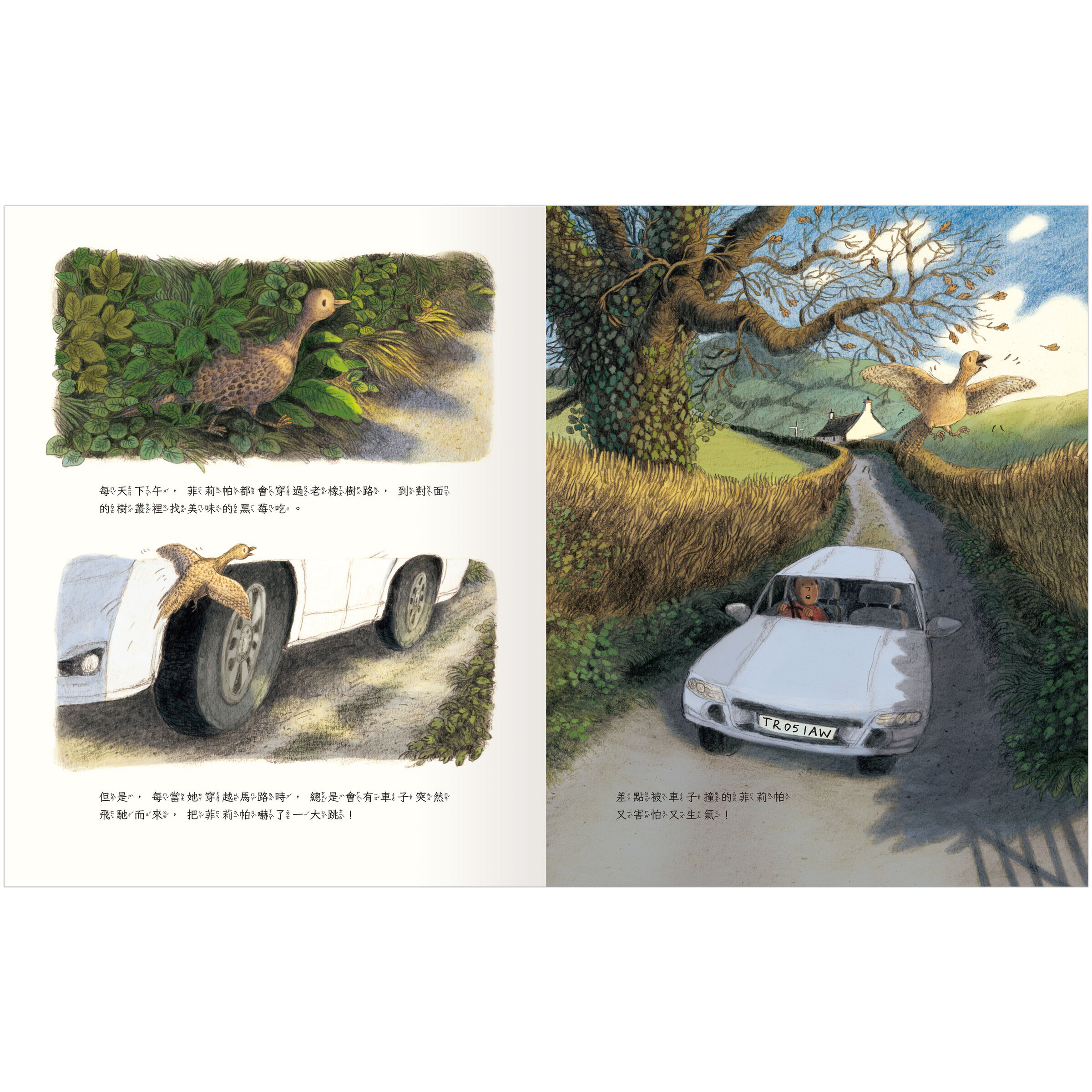 菲莉帕要過馬路-內頁2