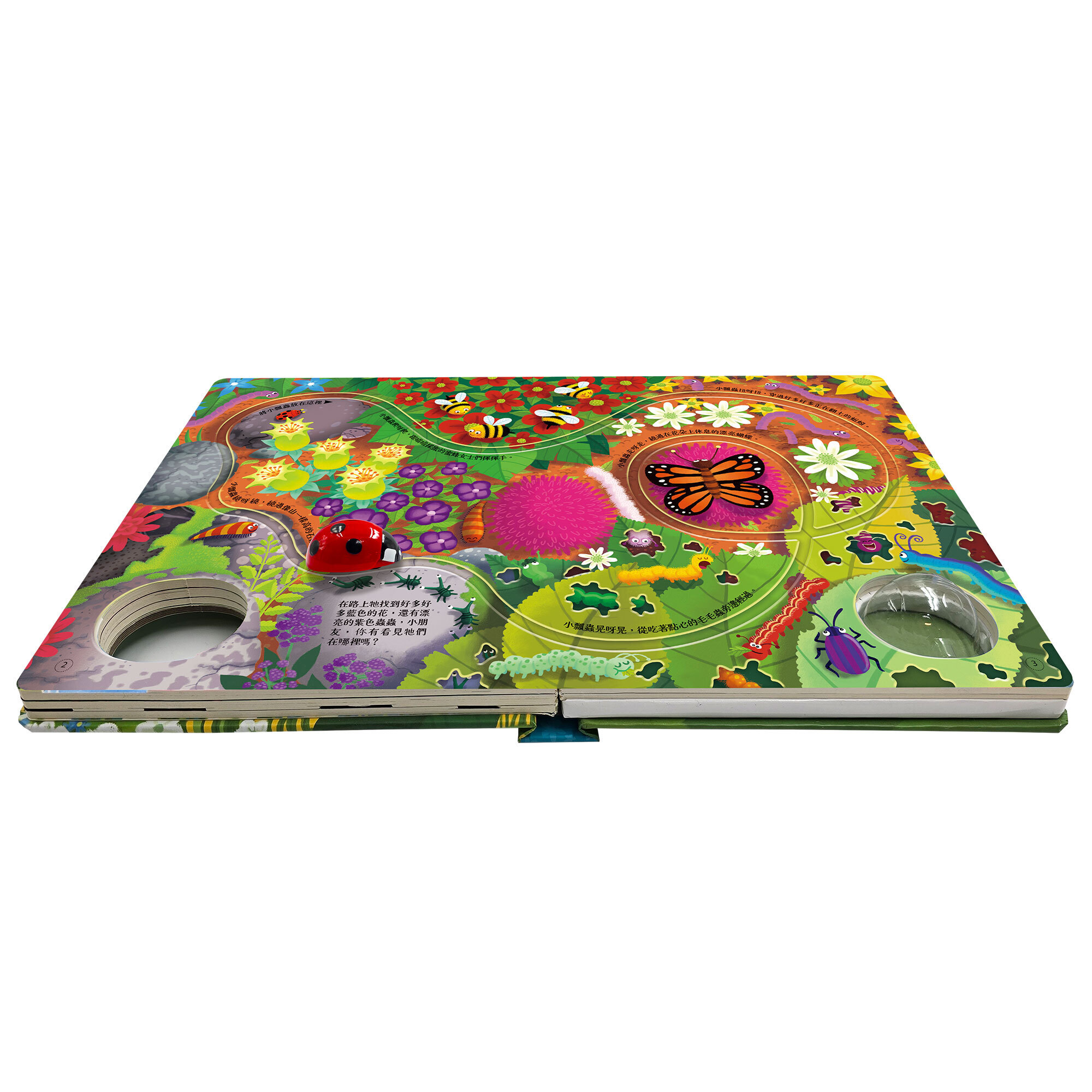 發條小瓢蟲-環遊大花園-內頁-01