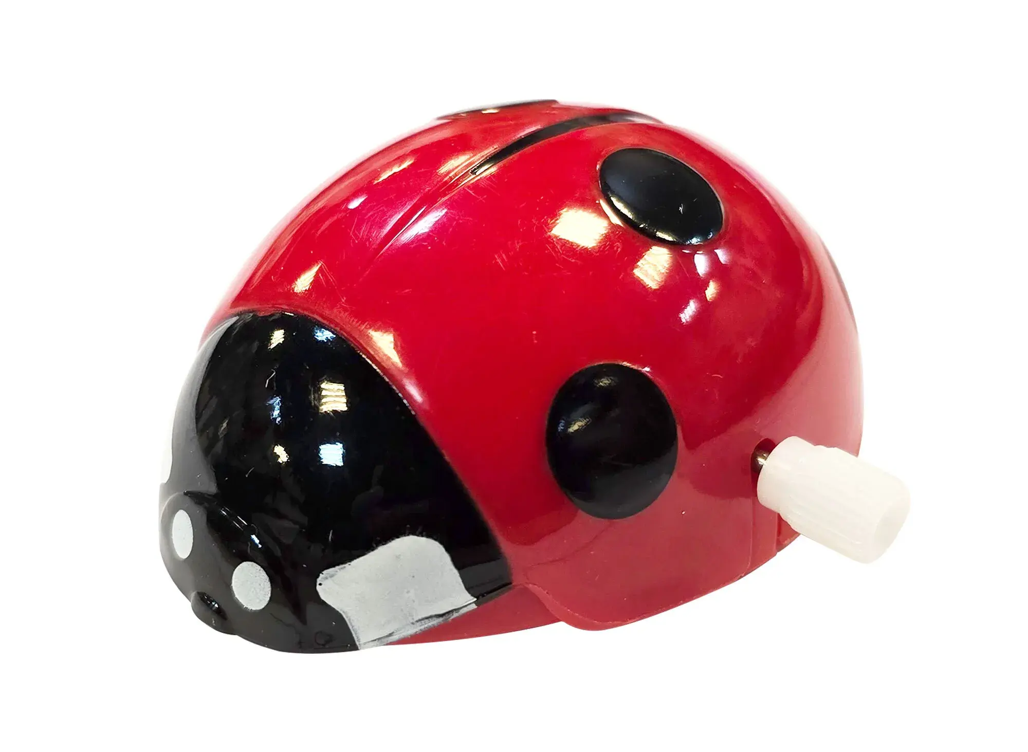 發條小瓢蟲-環遊大花園-瓢蟲模型