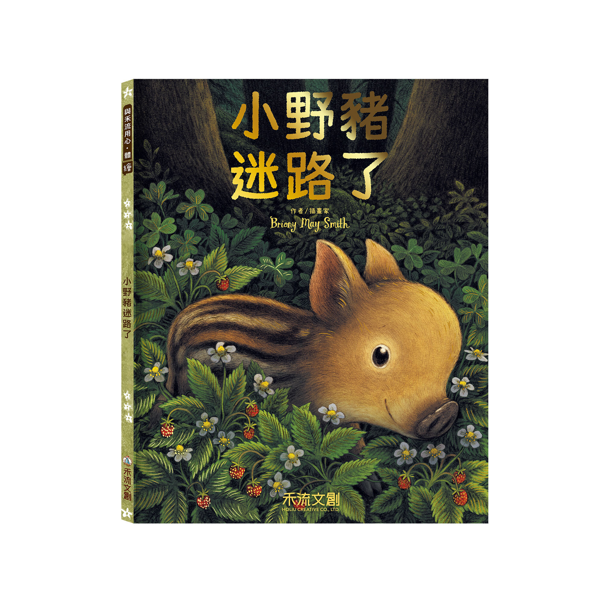 小野豬迷路了-封面