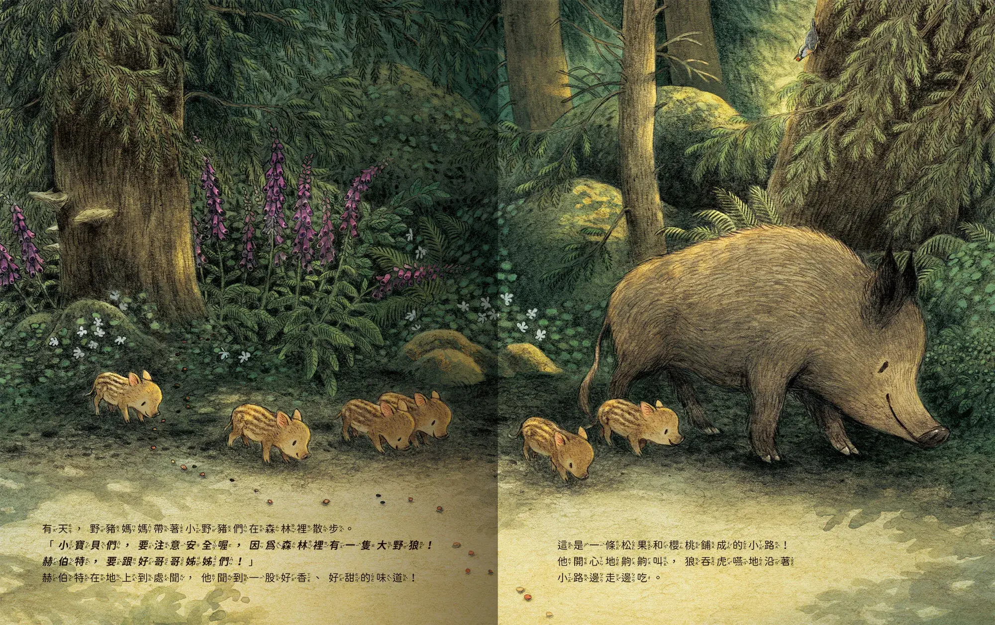 小野豬迷路了-內頁01