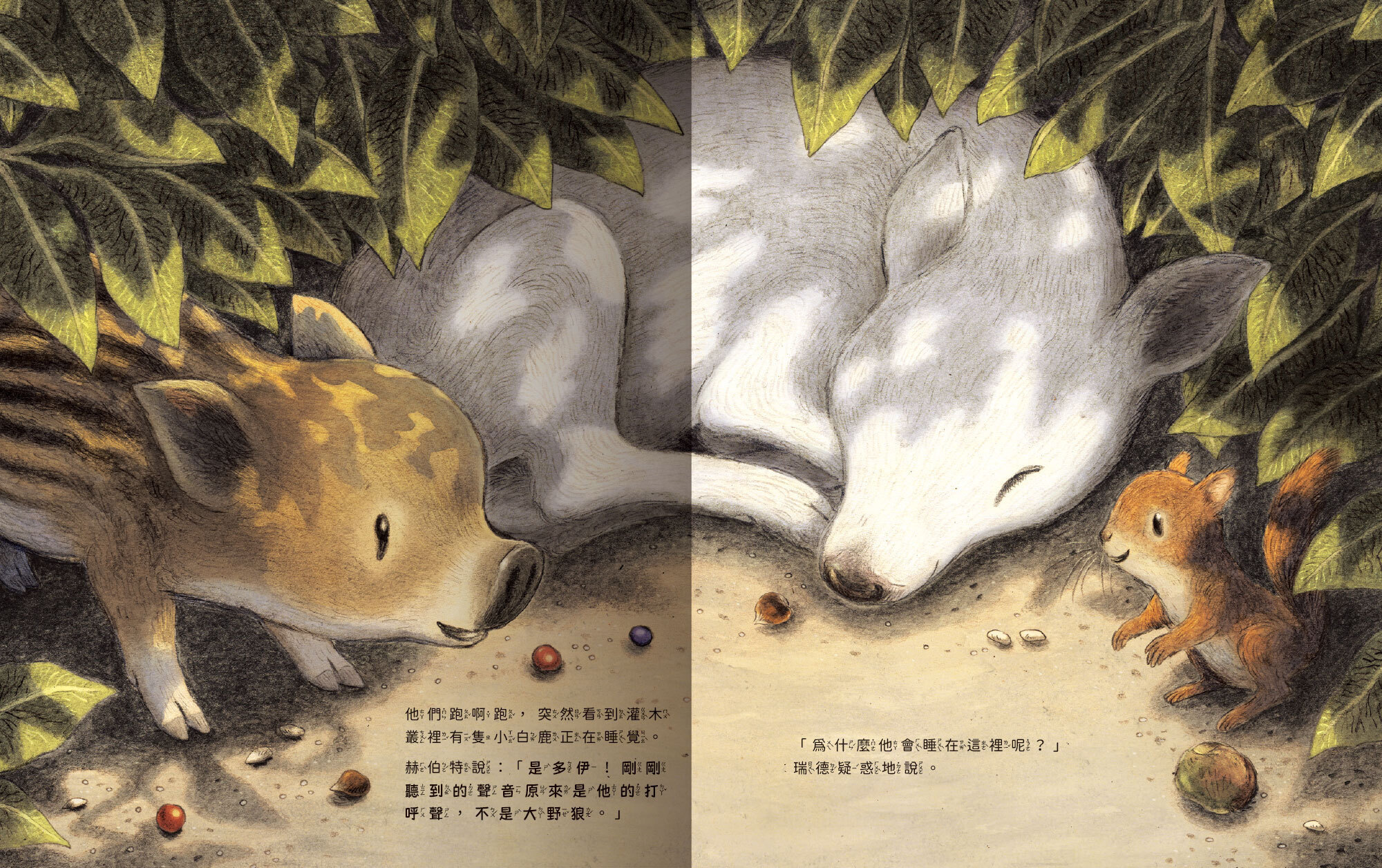 小野豬迷路了-內頁02