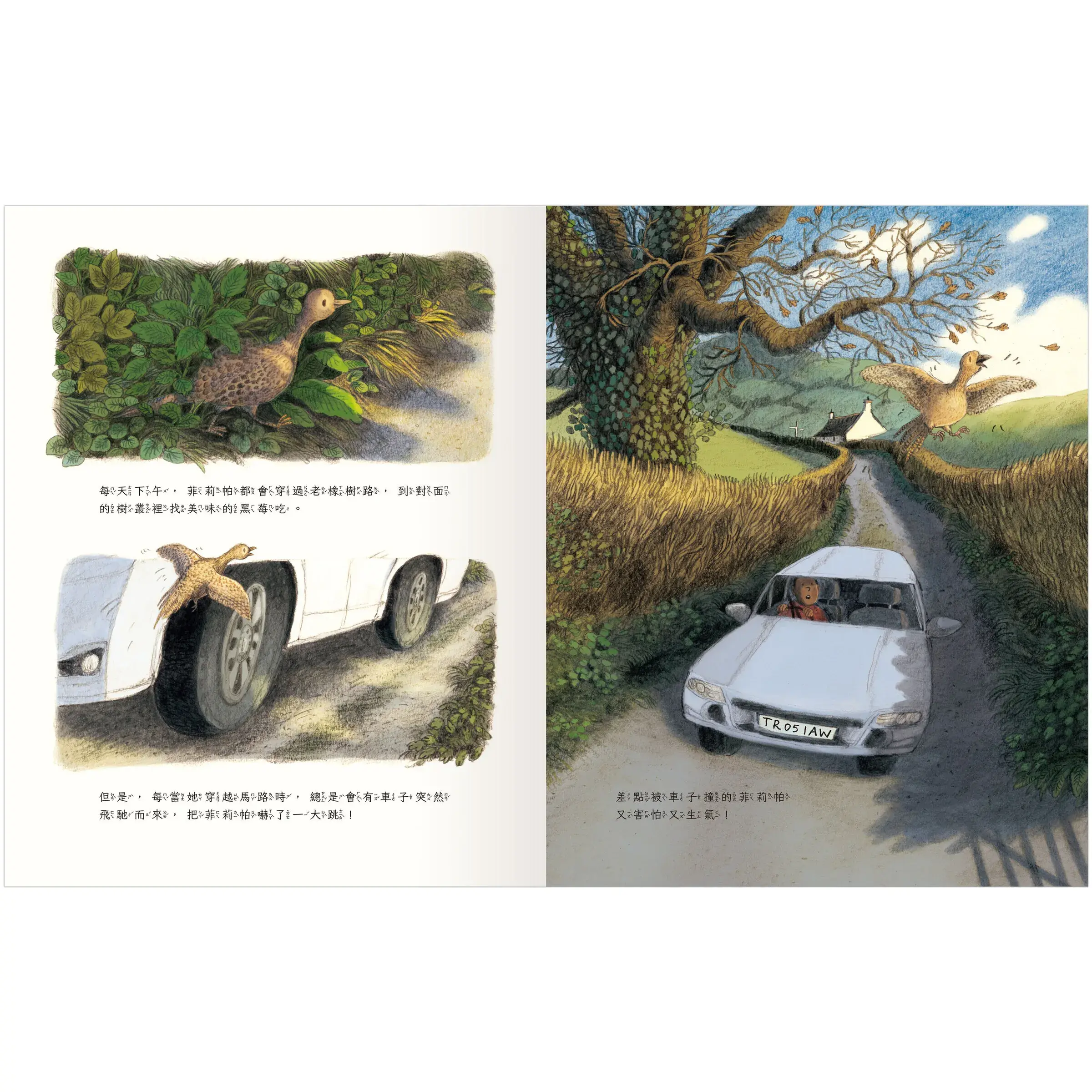 菲莉帕要過馬路-內頁2