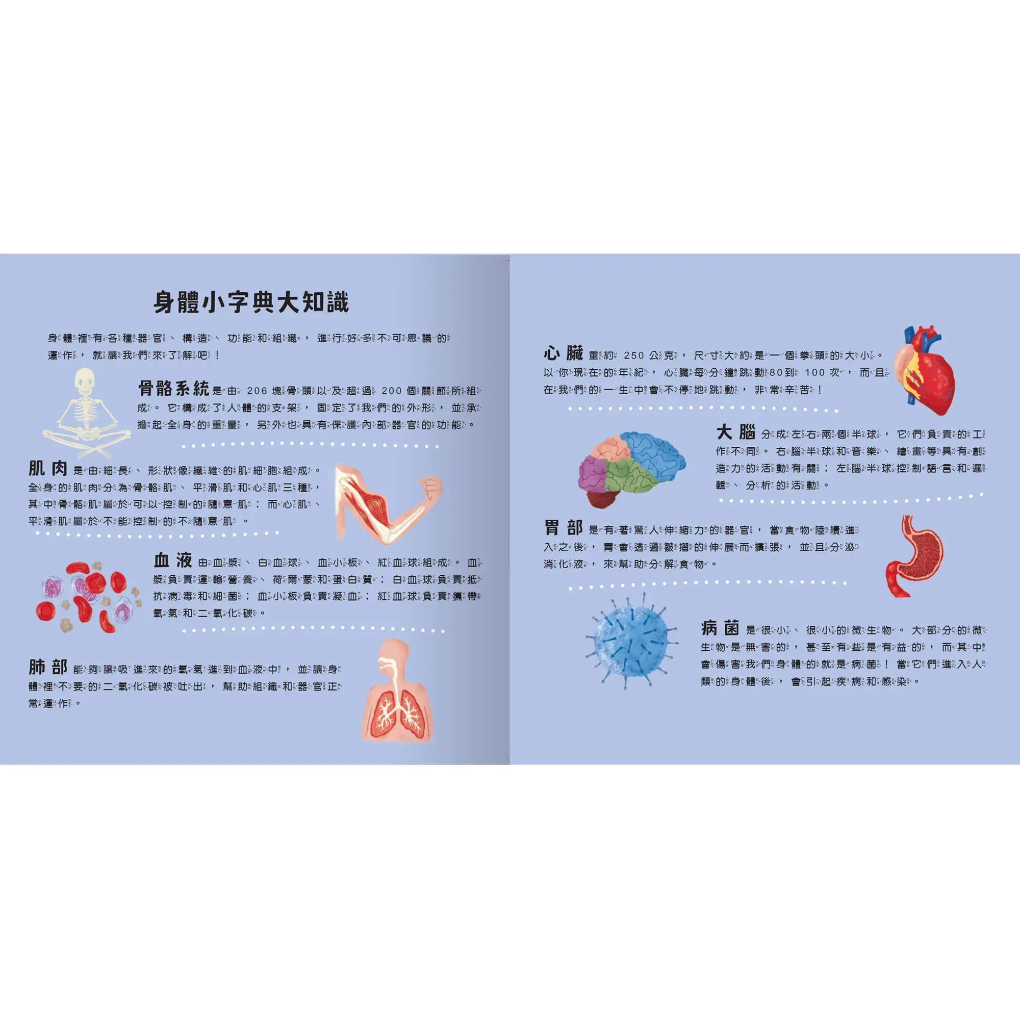 透光Show-照照人體X光-內頁3