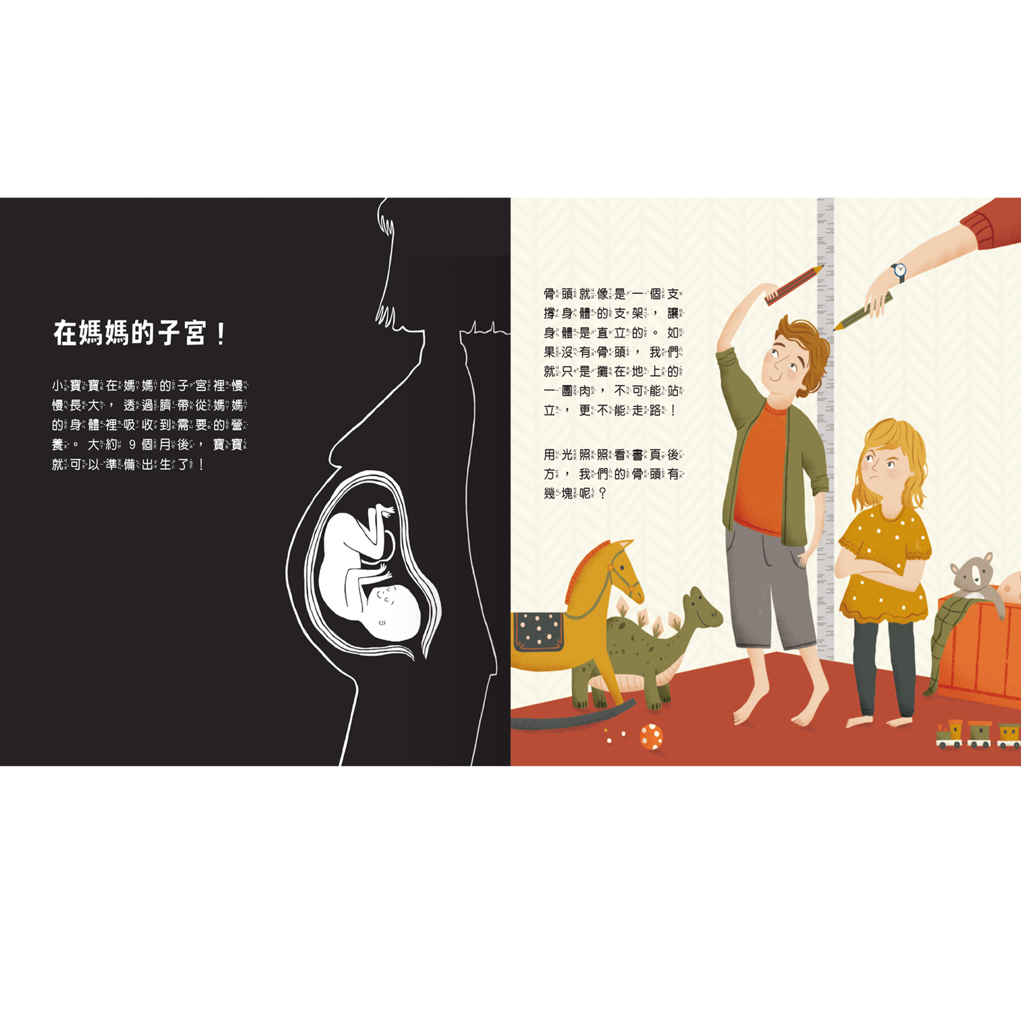 透光Show-照照人體X光-內頁1