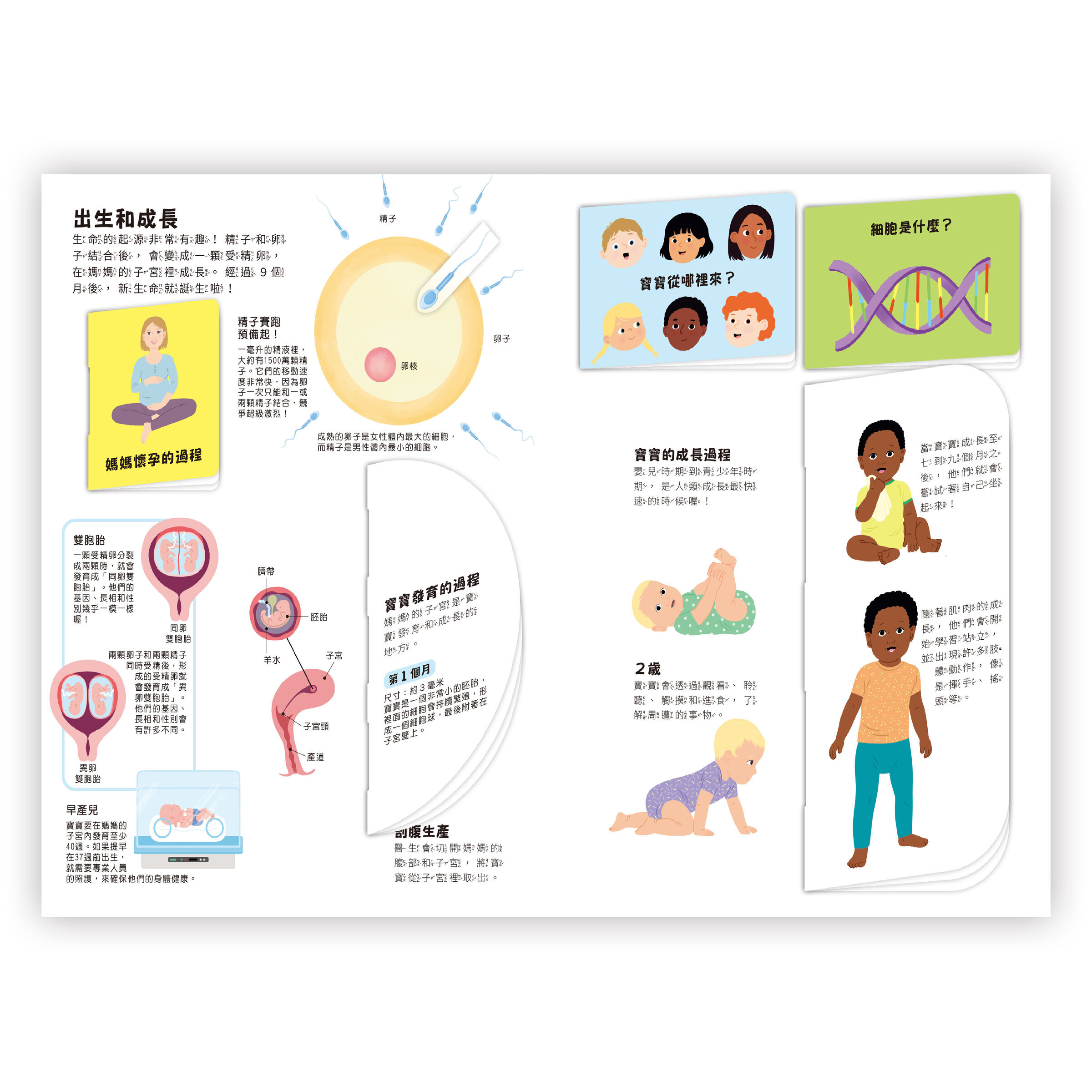 人體AMAZING！內頁1