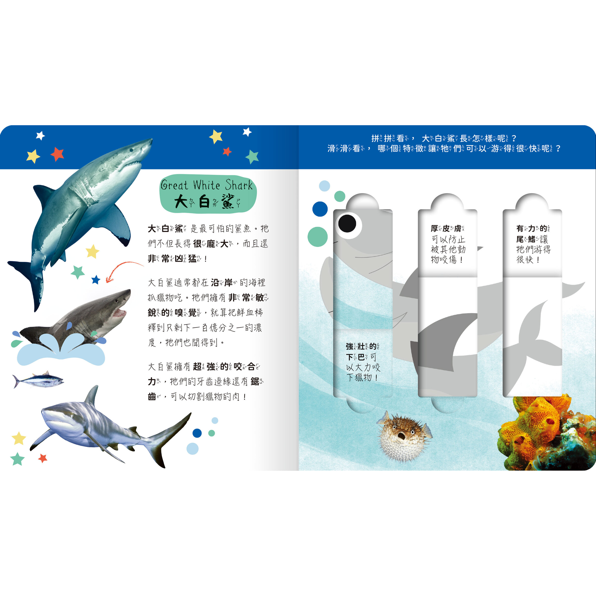 海洋內頁1