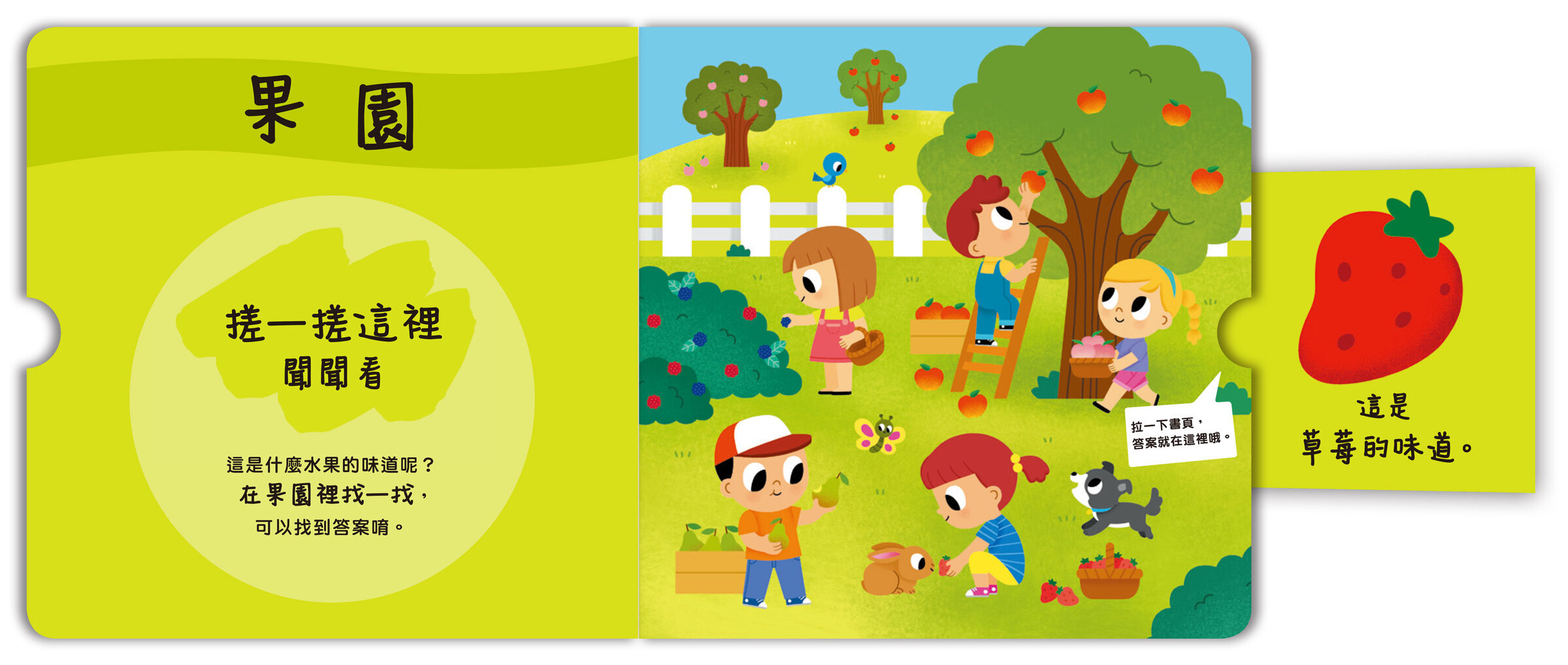 寶貝聞聞看-找一找是什麼東西的味道-01