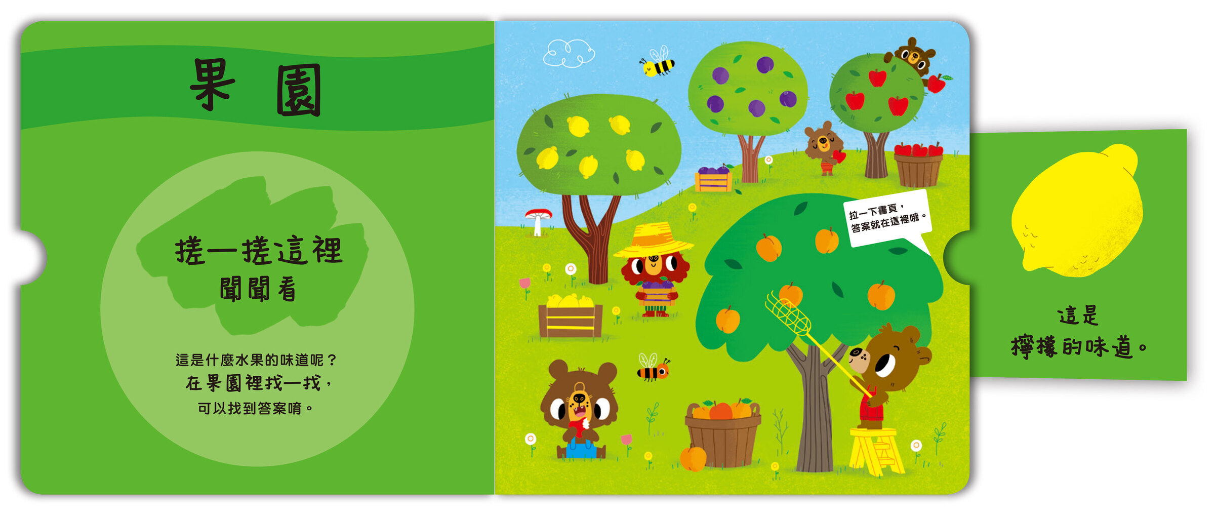 寶貝聞聞看-找一找是什麼水果的味道-02