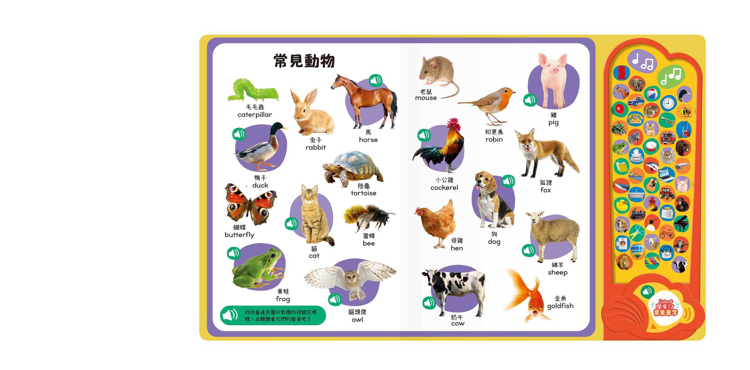 Listen！學會了！常見單字-內頁2