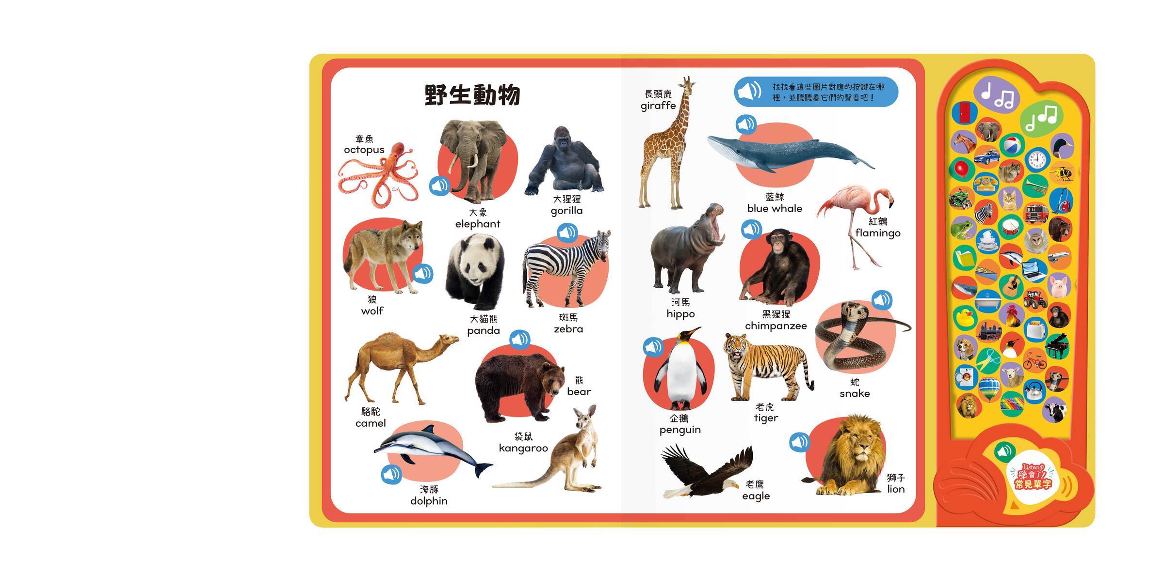 Listen！學會了！常見單字-內頁3