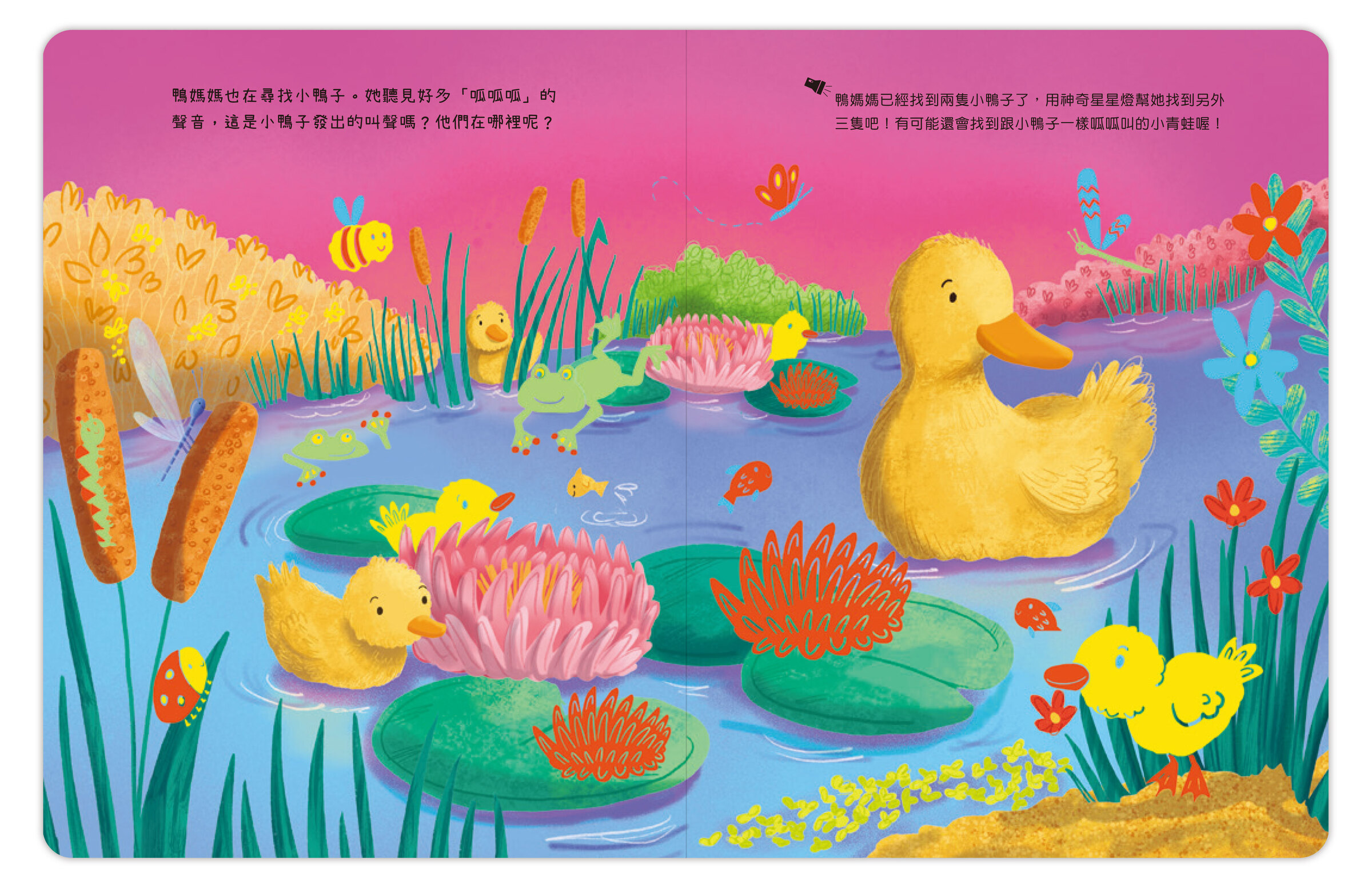 動物寶寶-內頁2