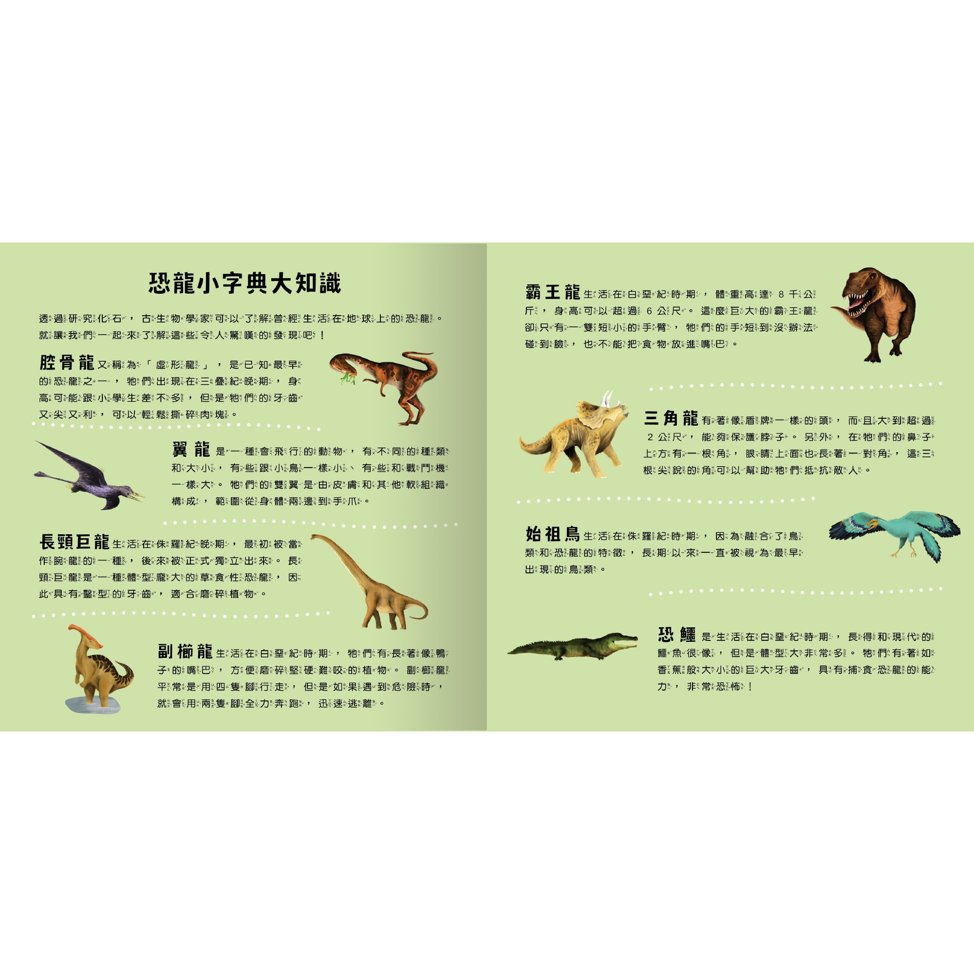 透光Show-神祕恐龍來囉-內頁3