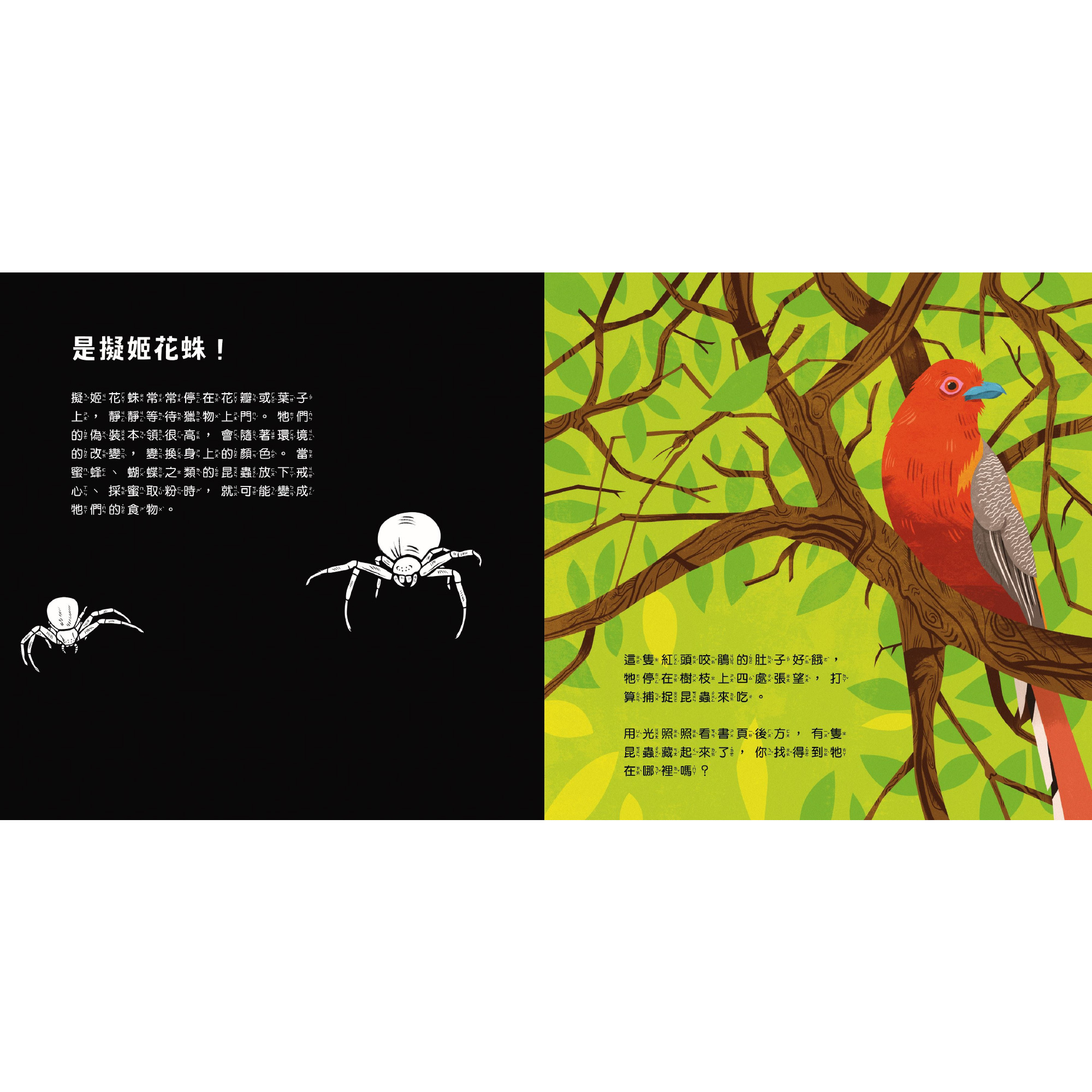 透光Show-動物的偽裝術-內頁1