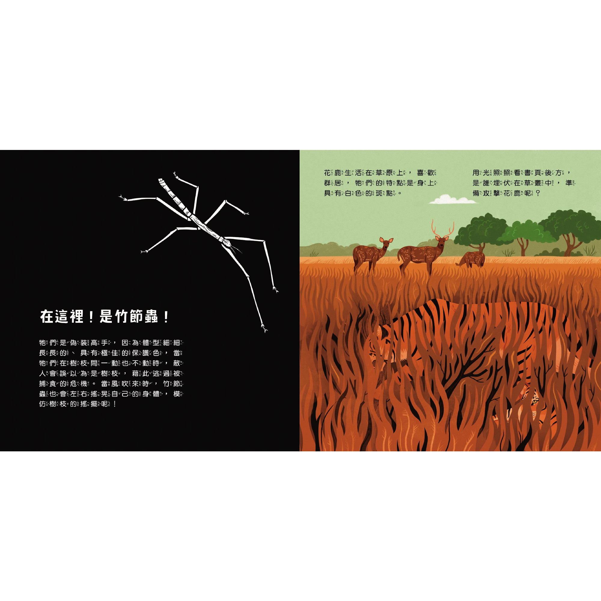 透光Show-動物的偽裝術-內頁2