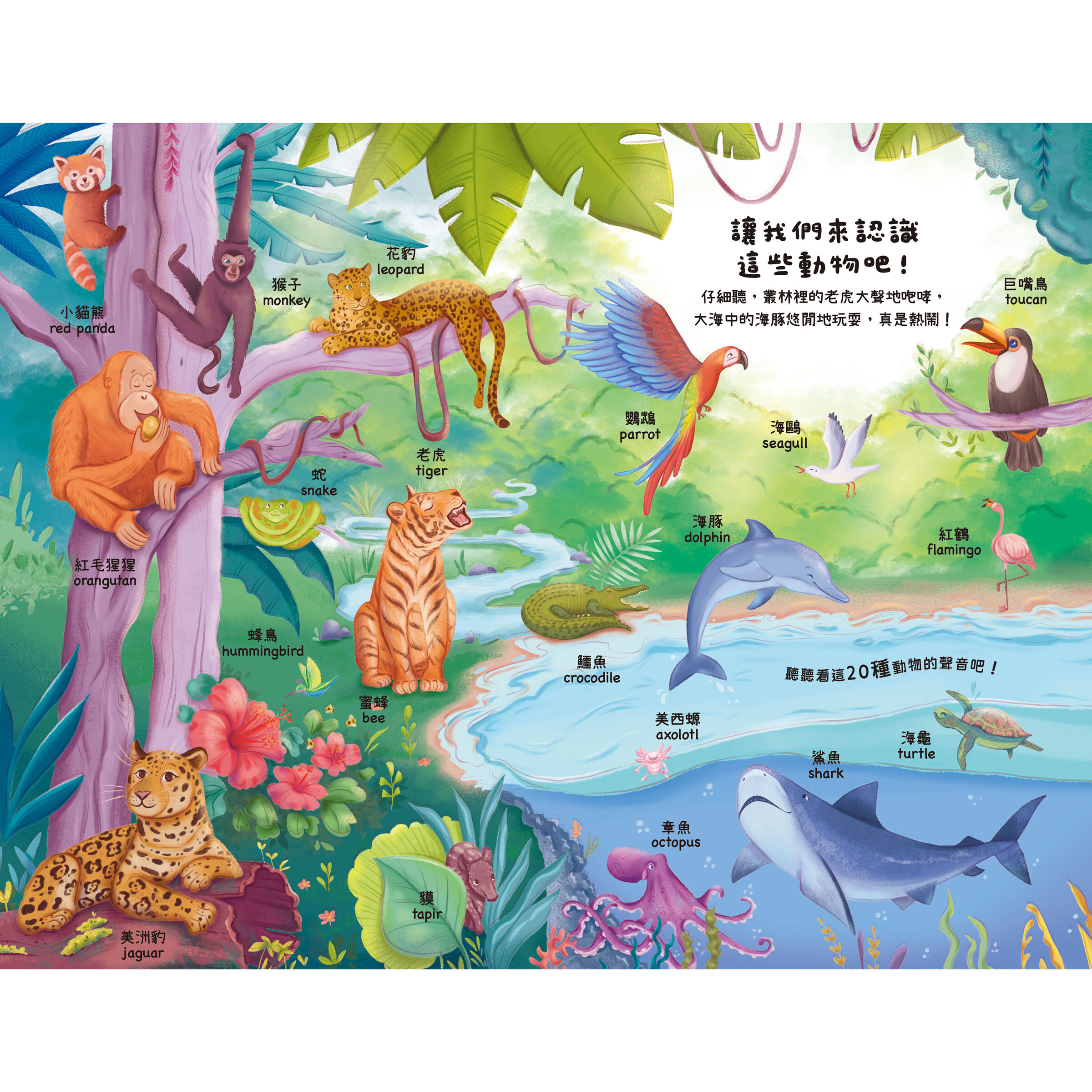 可愛的動物內頁1